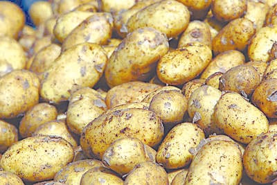 Potato farmers to receive government assistance; applications open.