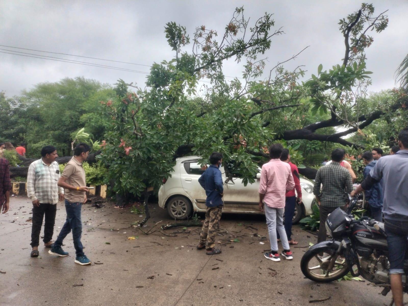 पेड़ के नीचे दबे वाहन।