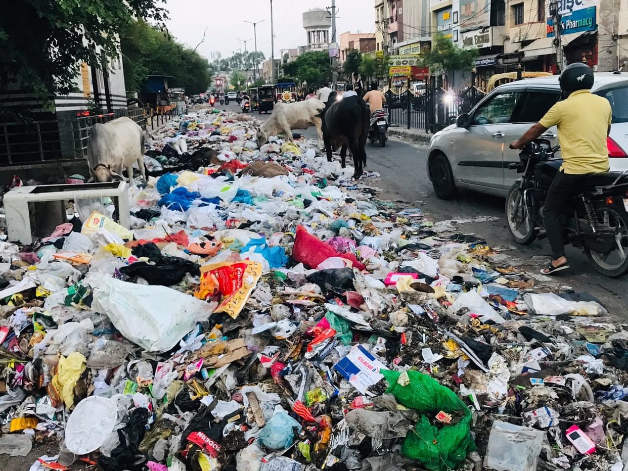 Garbage has started to rot due to a lack of cleaning, and the mosquito menace has intensified as fogging was not carried out in 31 wards.