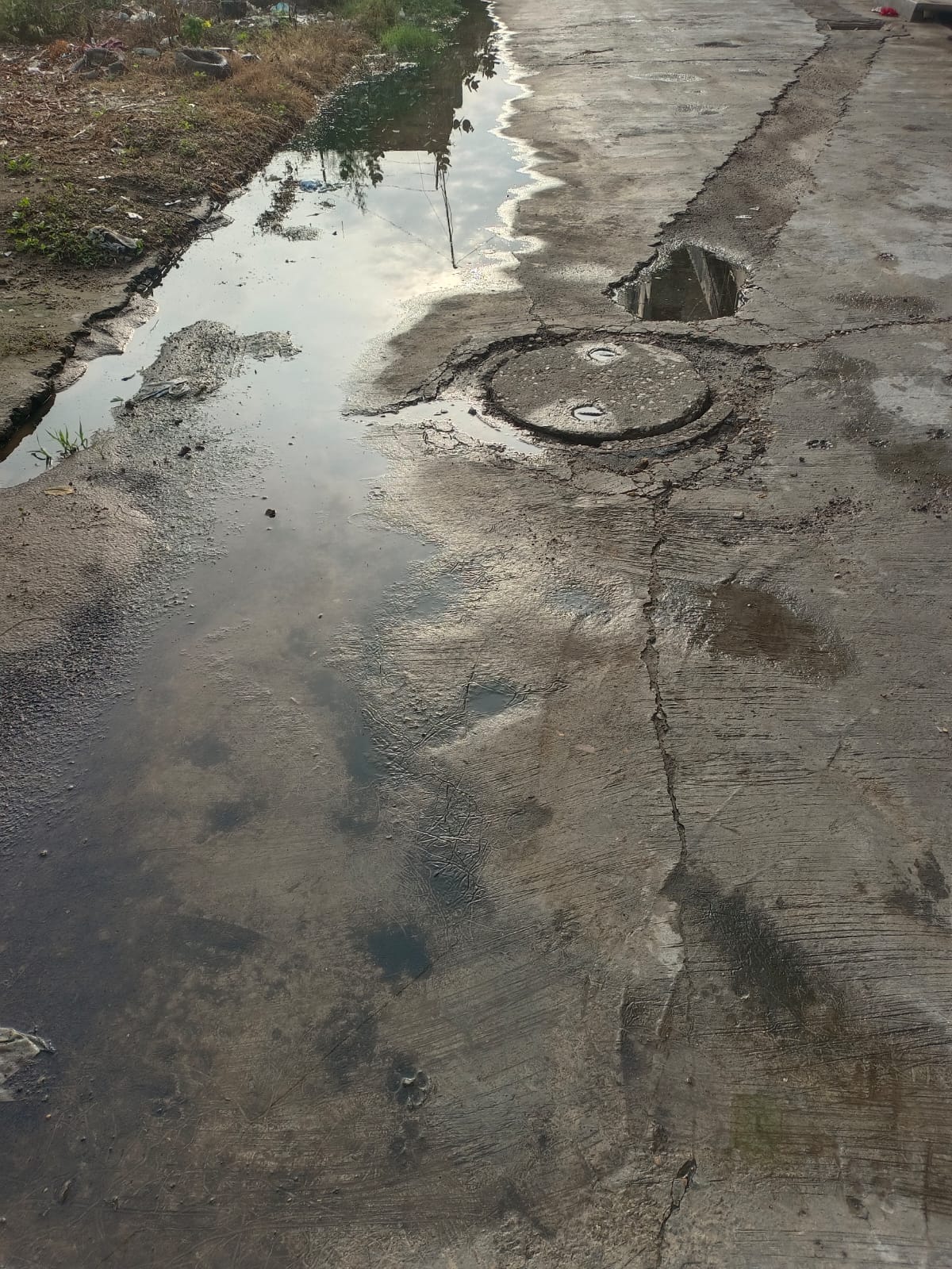 Sewer overflow in Ward No. 7; dirty water entering homes.