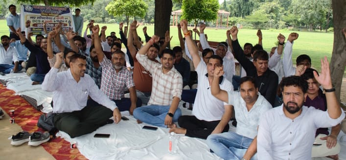 Patwaris staged a protest and expressed resentment over the flaws in the new revenue portal.