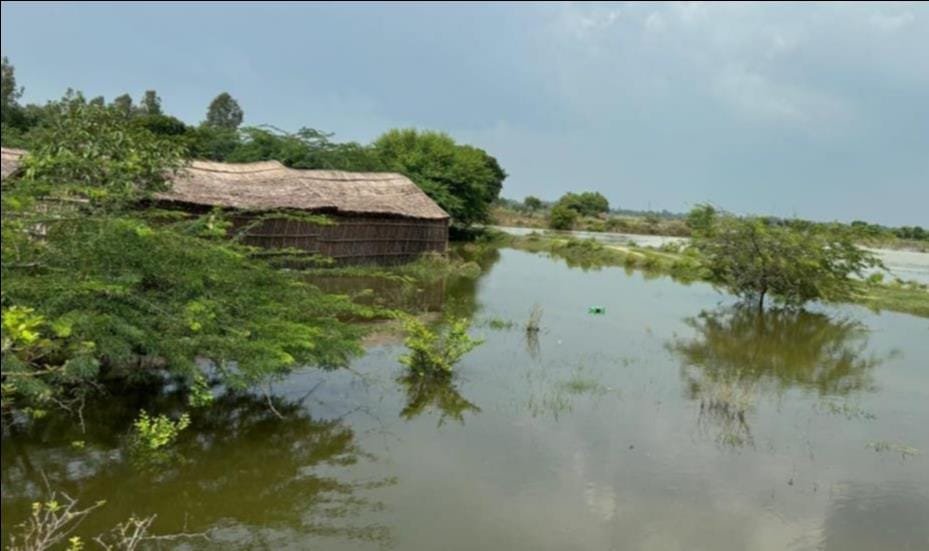फोटो :01:  कासिमपुर गांव में पानी से घिरी झोपड़ी।संवाद
