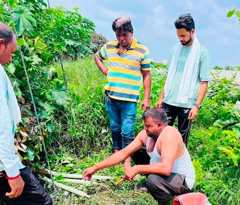 फोटो:07: अंडरग्राउंड केबल की मरम्मत करते विद्युत कर्मचारी। संवाद