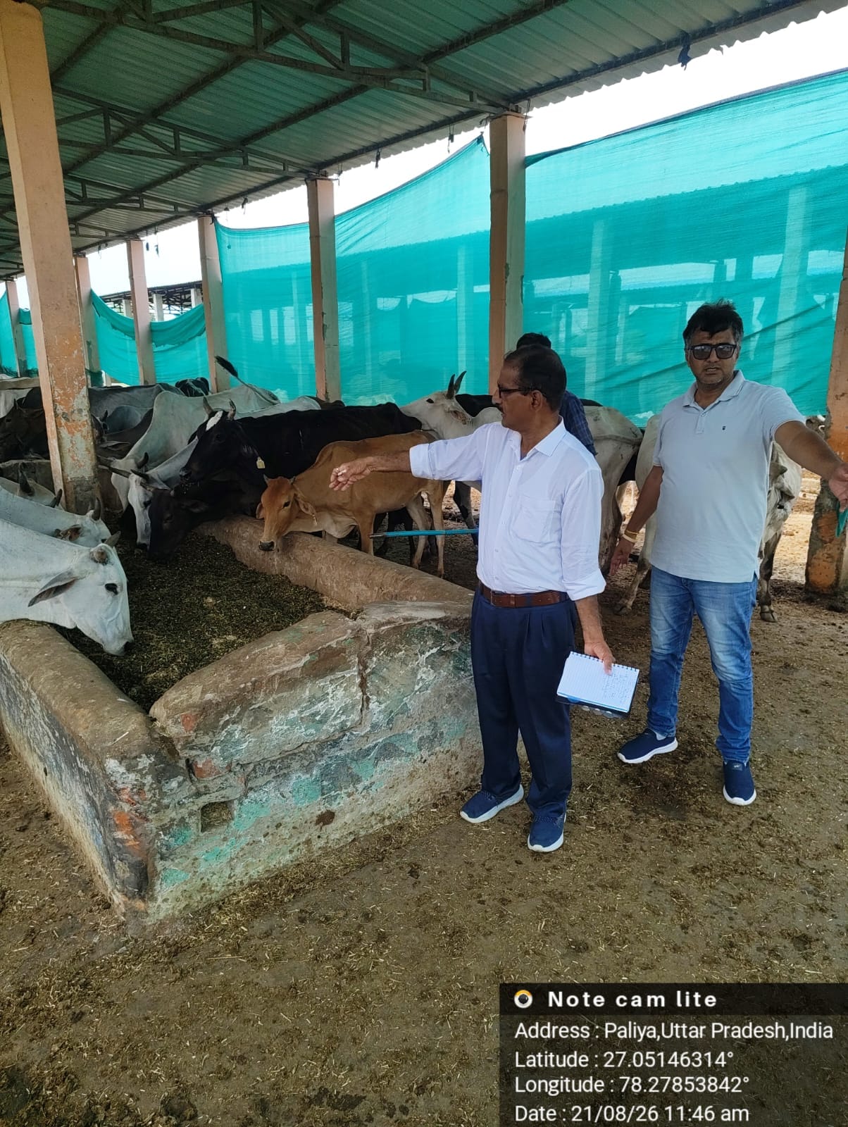 Additional Director inspected arrangements at cow shelters; shortcomings found.