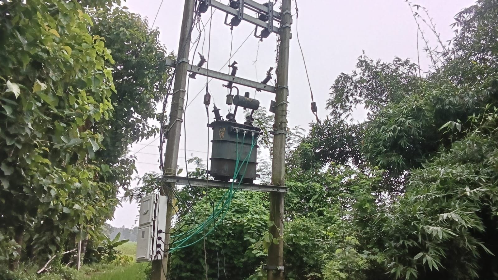 कटरा बाजार में बिजली लाइन की मरम्मत करते कर्मी। स्रोत: विभाग 