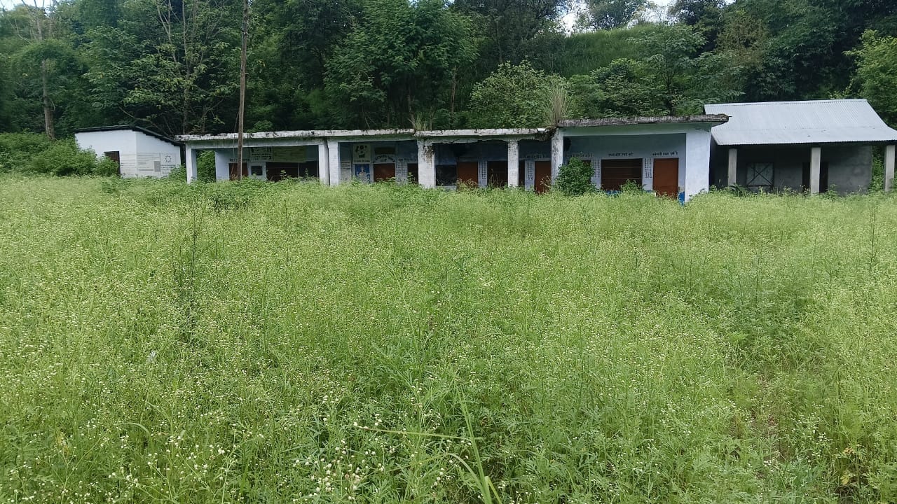खटवीं स्कूल के खेल मैदान में उगी झाड़ियां। स्रोत जागरूक पाठक