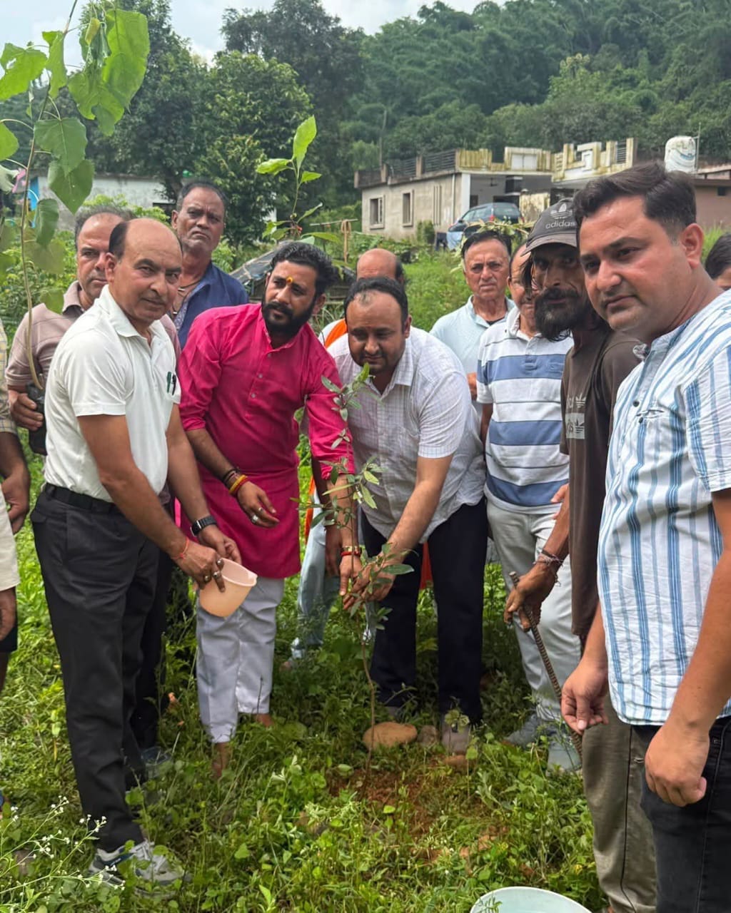नूरपुर क्षेत्र की छतरोली पंचायत में पौधरोपण करते हुए फांउडेशन के सदस्य (संस्था)