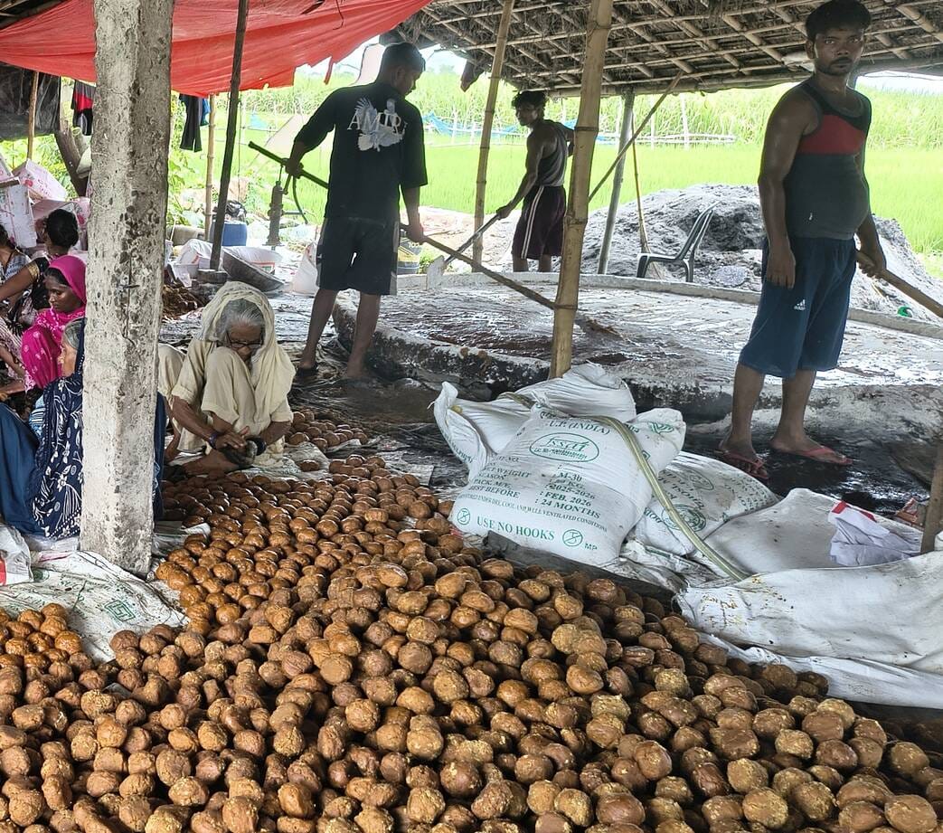 Jaggery is being adulterated with sugar, molasses and refined flour, but the responsible are unaware.