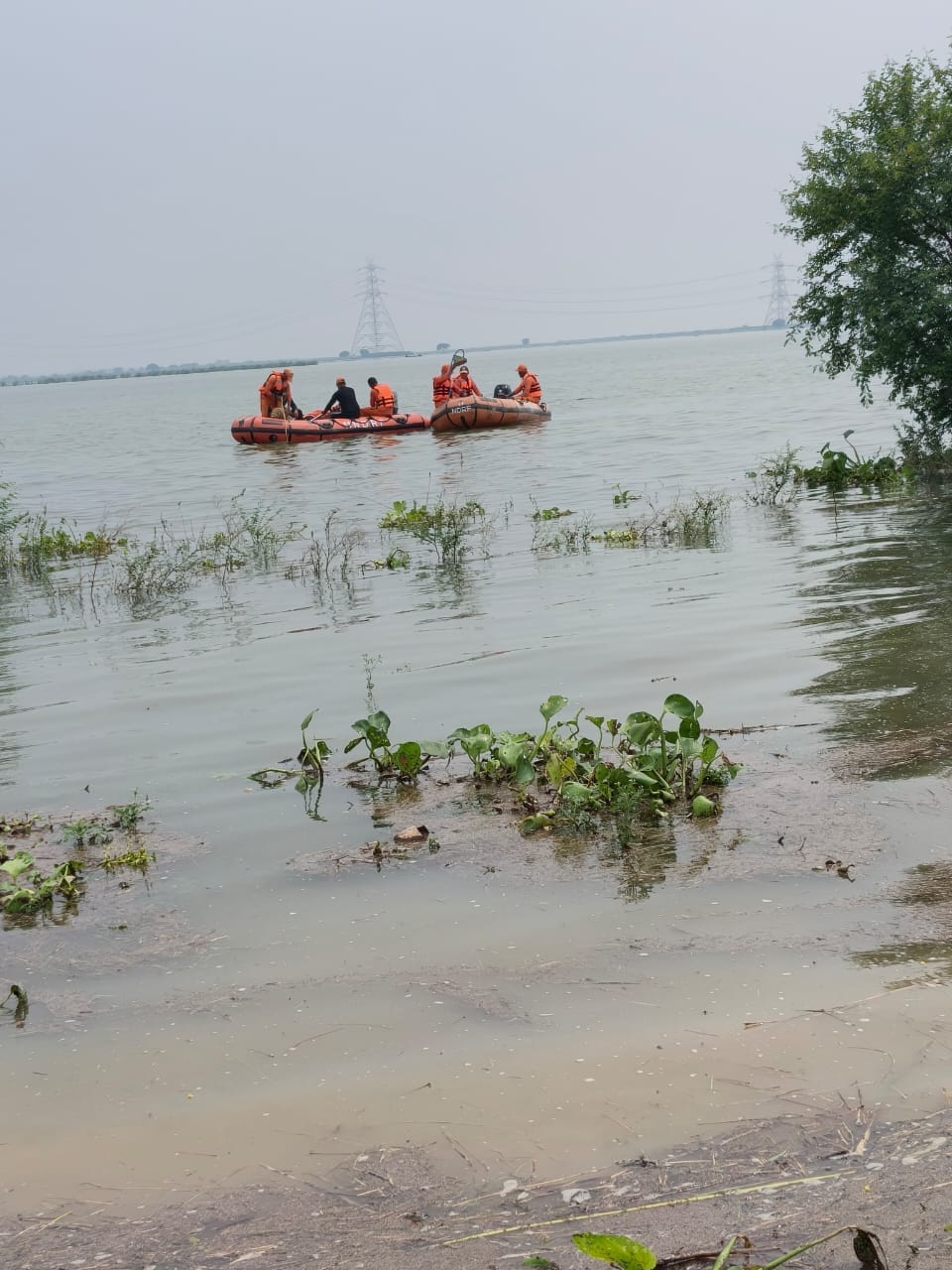Youth drowns while crossing the flooded Ganges; NDRF engaged in search operation