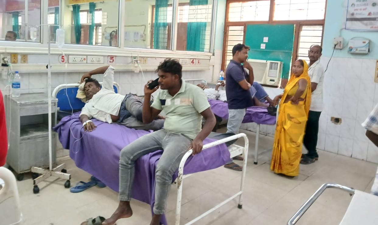 Six people were bitten by a snake, admitted