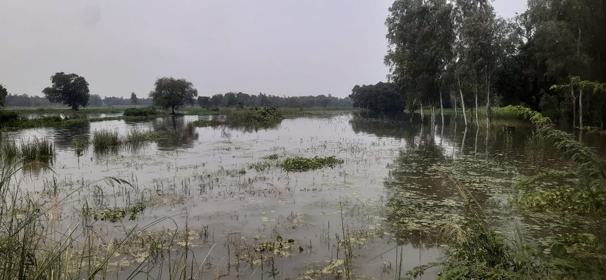 Water reached the villages after the Shivgarh drain overflowed