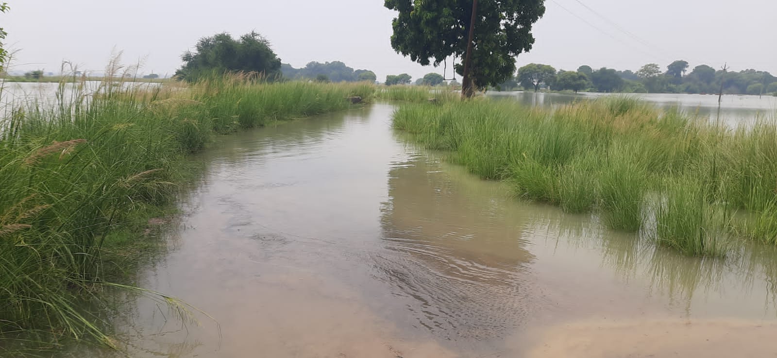 देवरहा बाबा आश्रम पर सड़क पर बहता पानी 