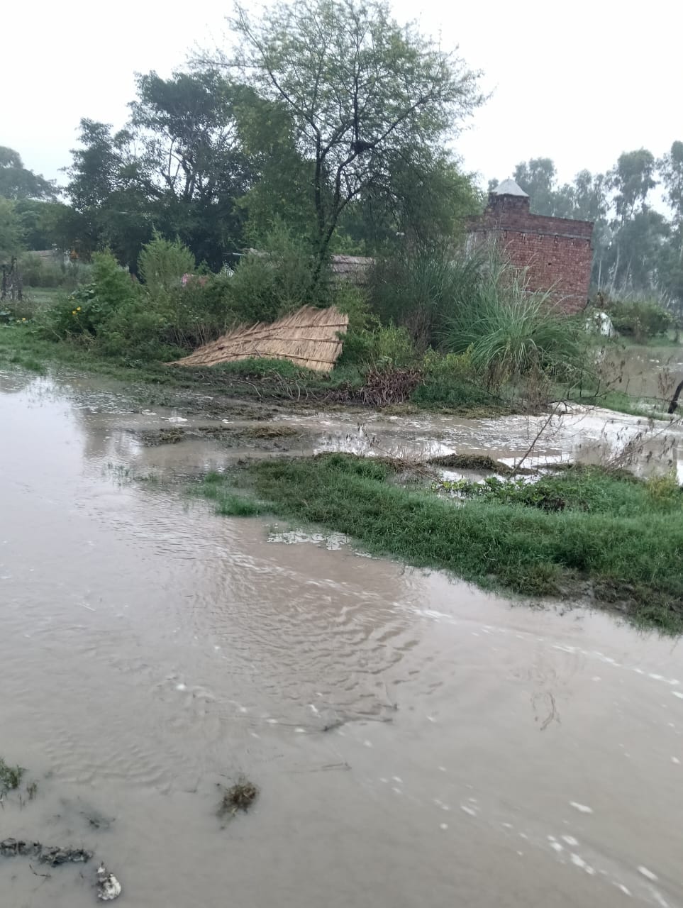 Ganga flows above danger mark; flood risk rises in seven villages, including Kadmangala.