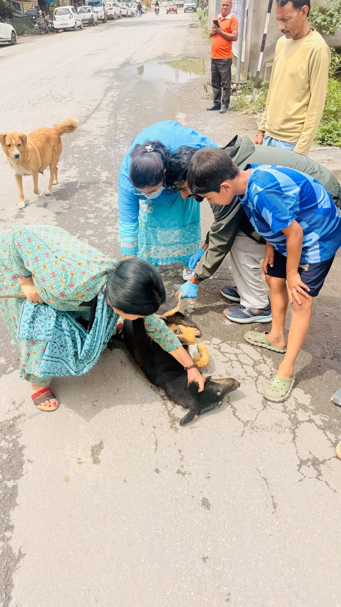 Anti-rabies vaccination drive conducted with the support of the Panchayat.