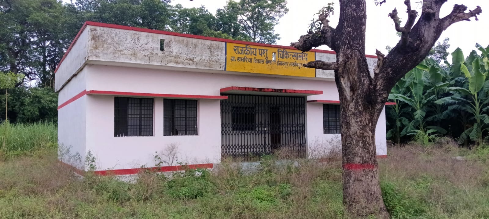 बंद पड़ा नवनिर्मित राजकीय पशु चिकित्सालय भवन व इडोर वार्ड।स्रोत: ग्रामीण