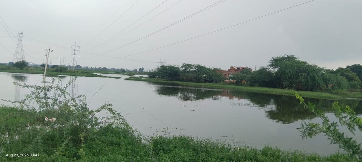 Crops across 100 bighas in Dibiyapur remain submerged despite two months of cleaning the Mainputh drain.