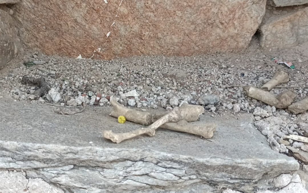 Spear fragments and bones found during the excavation of Islampur Fort.