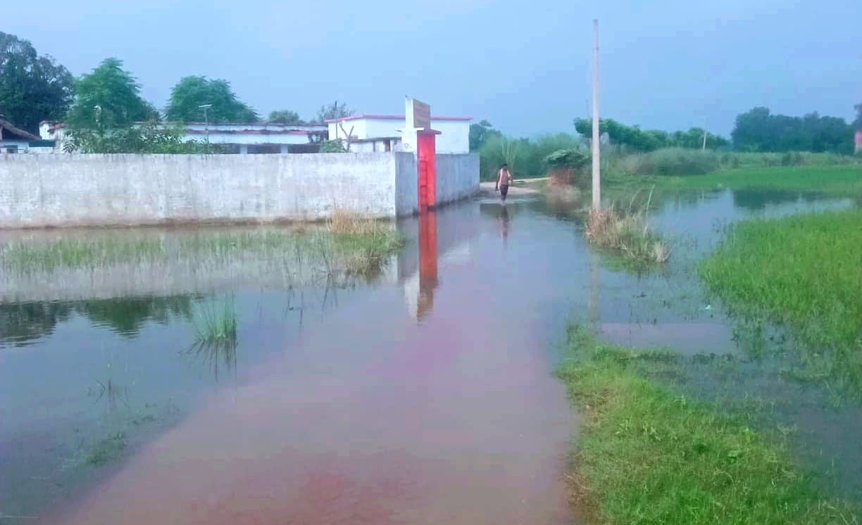 महाराजगंज के मलहपुरवा में बाढ़ के पानी से घिरा पूर्व माध्यमिक विद्यालय। संवाद