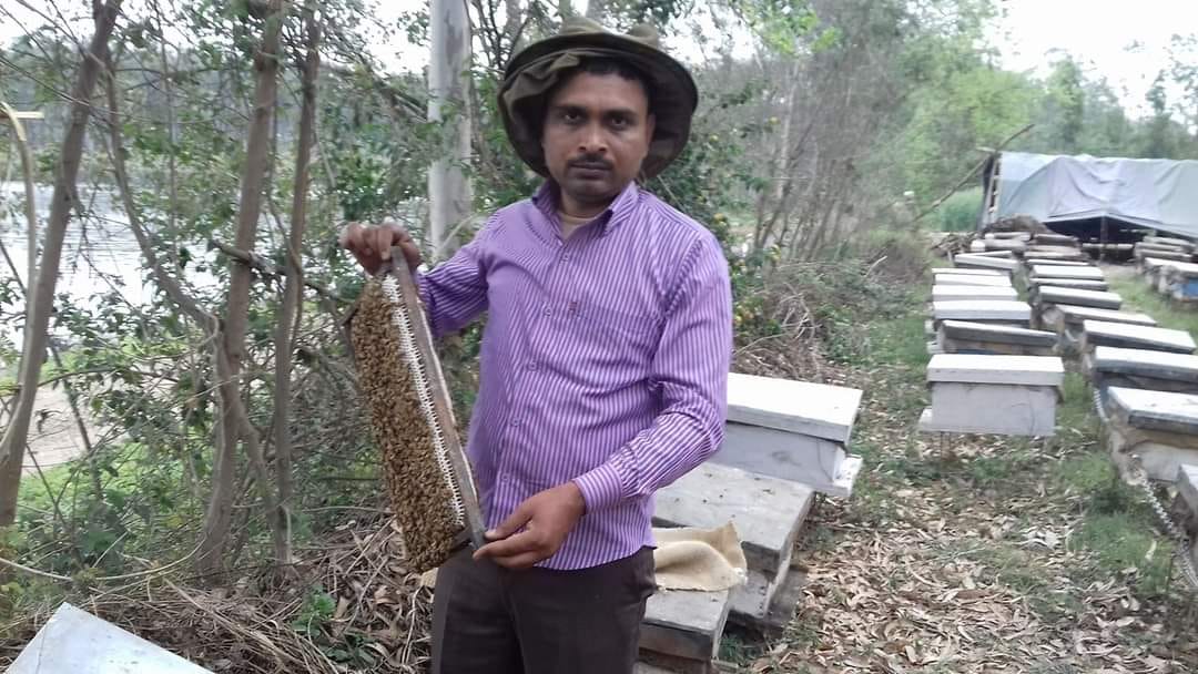मधु क्रांति बी फार्मर्स वेलफेयर सोसायटी जिलाध्यक्ष सईद सैफी।