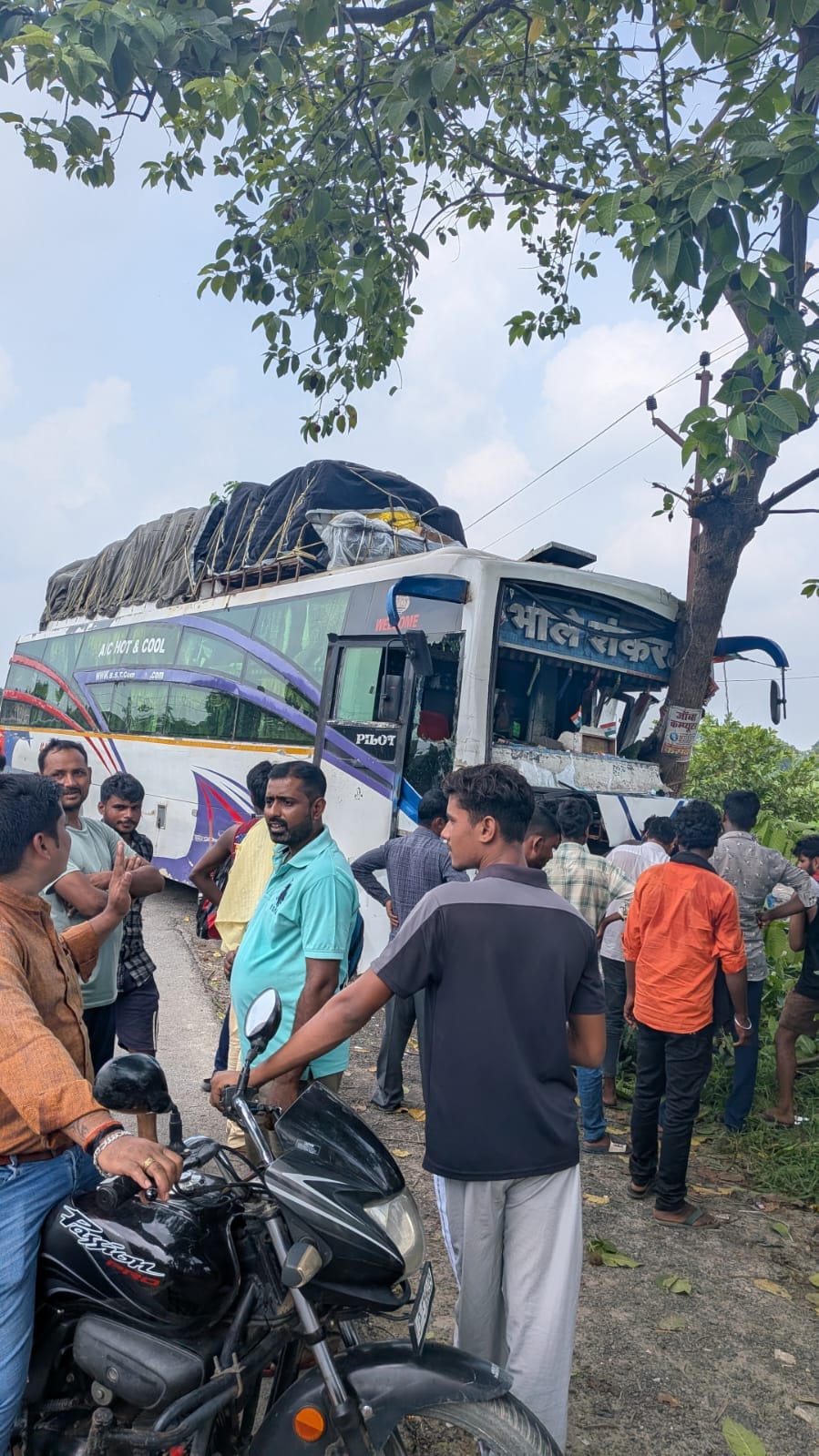 Bus hits tree on highway, passengers safe