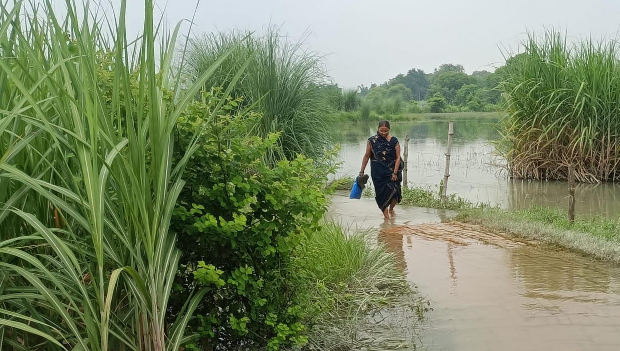 The water level of the Saryu has decreased, but the impact of the flood hasn't ended.