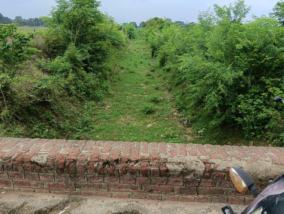 Jaunpur News: नहर सूखी, धान के खेतों में पड़ने लगीं दरारें