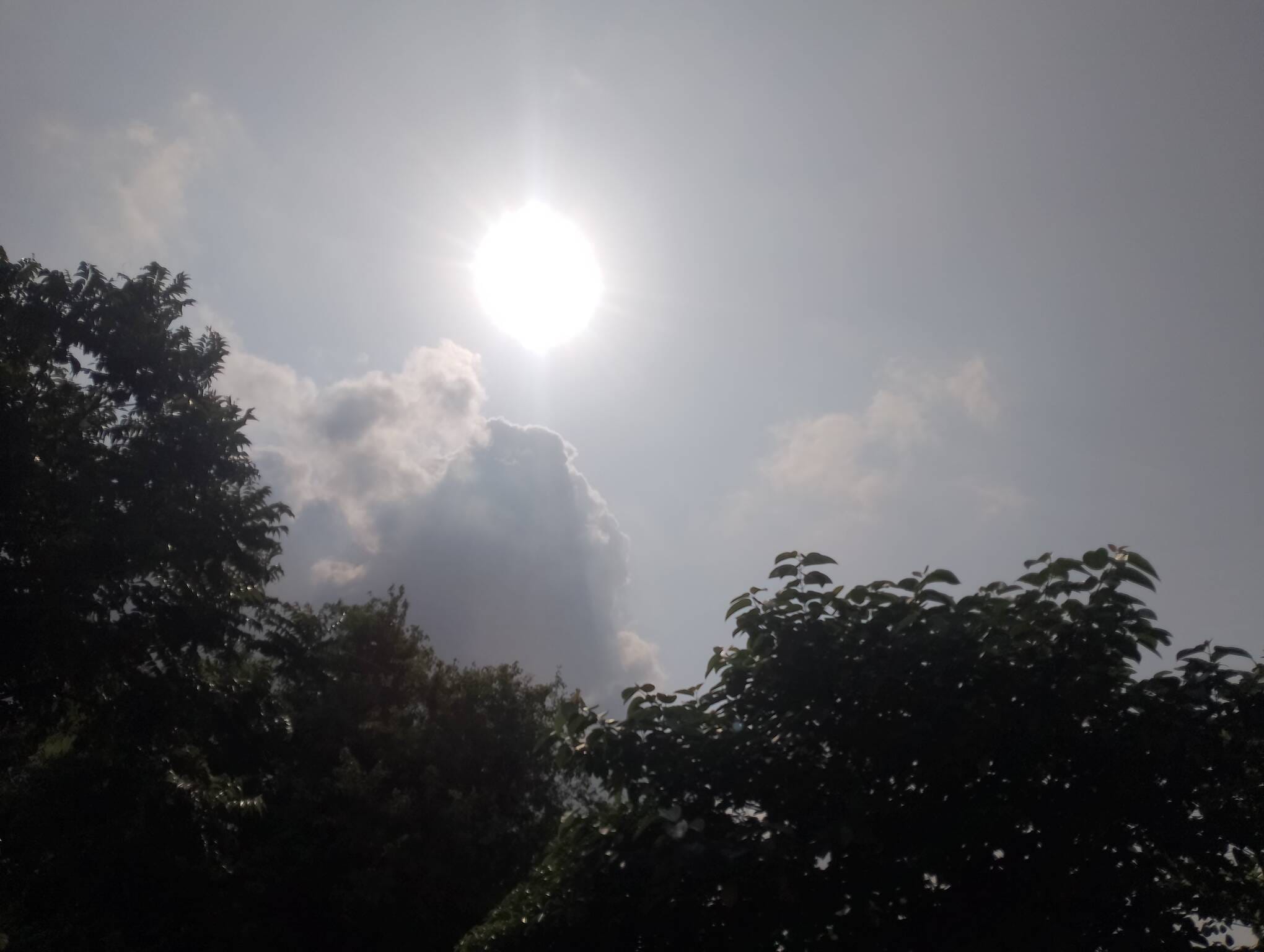 दिनभर आसमान में छाए रहे बादल। संवाद