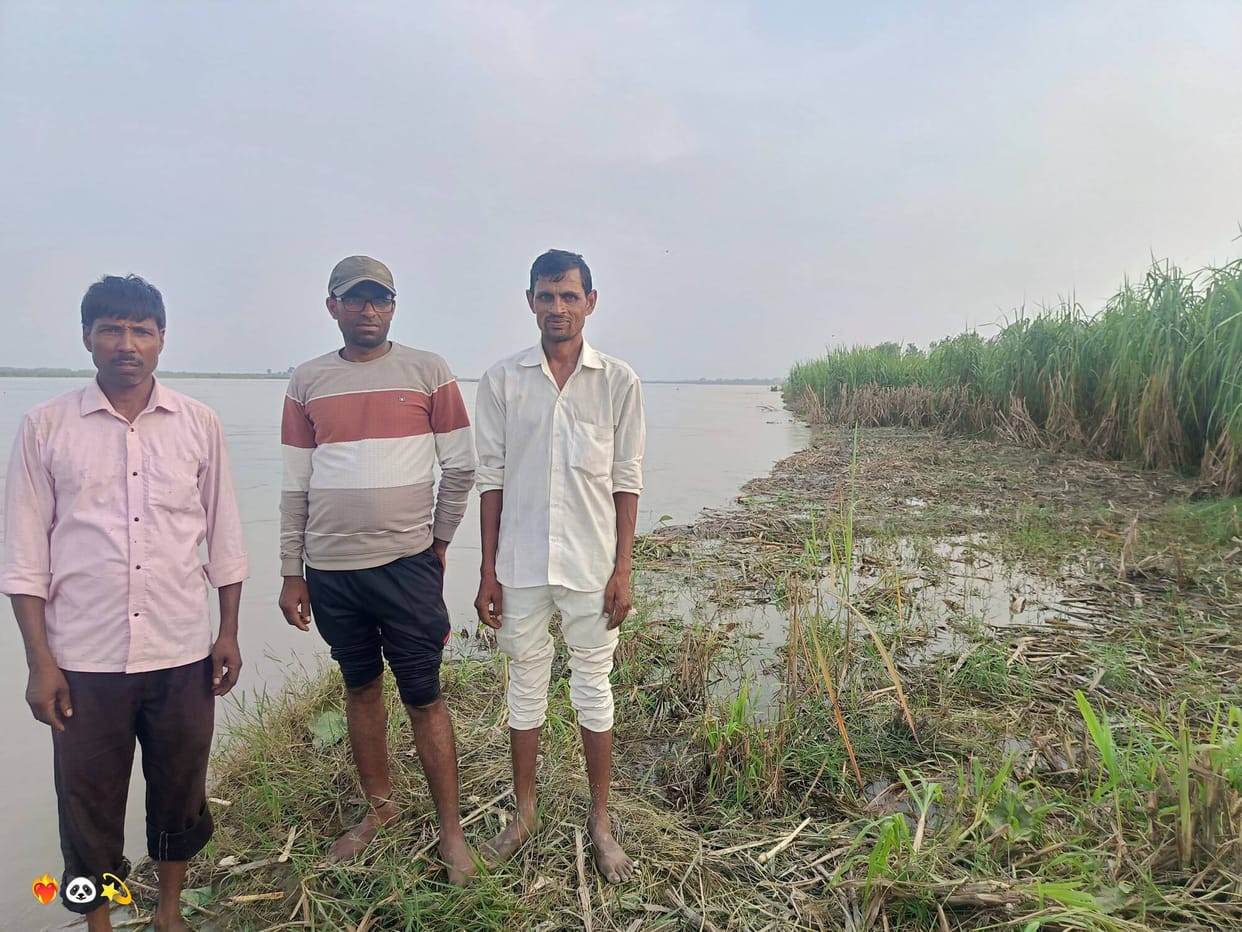 The Ganga's Furey: Hundreds of trees and plants, along with 100 bighas of land and crops, submerged in the waters.