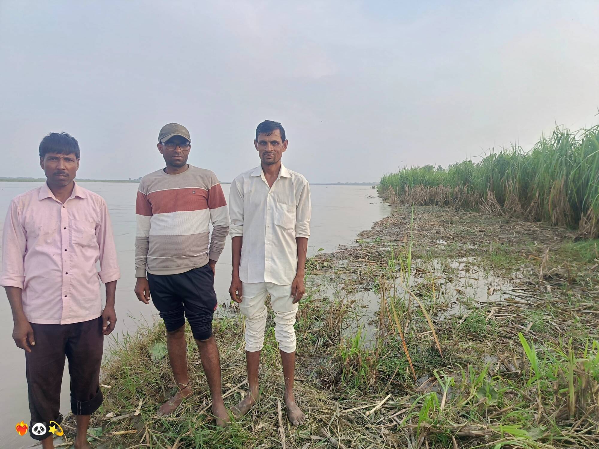अनूपशहर में गंगा में समाई गन्ने की फसल को दिखाते किसान। संवाद
