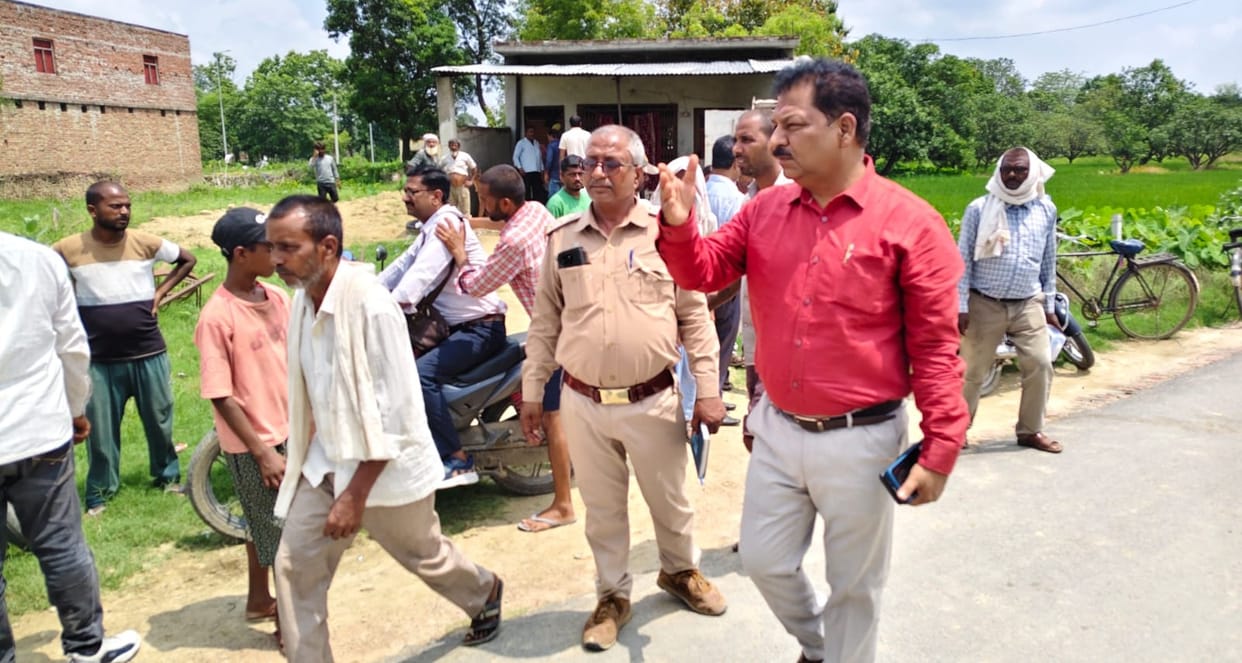 Leopard attacks sheep pen; 88 dead, 13 injured
