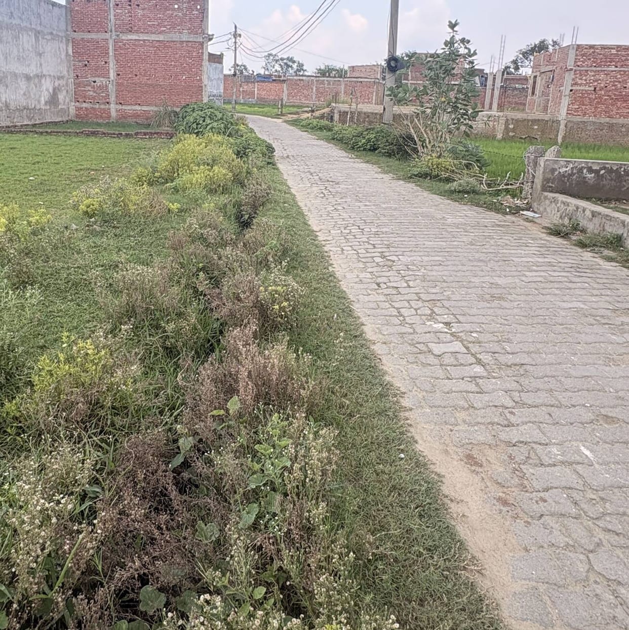 Siddharthnagar News: Road conditions and the drainage system are in a dilapidated state in the city's Buddhanagar neighborhood