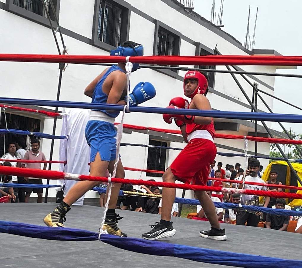 Thrilling bouts across various weight categories