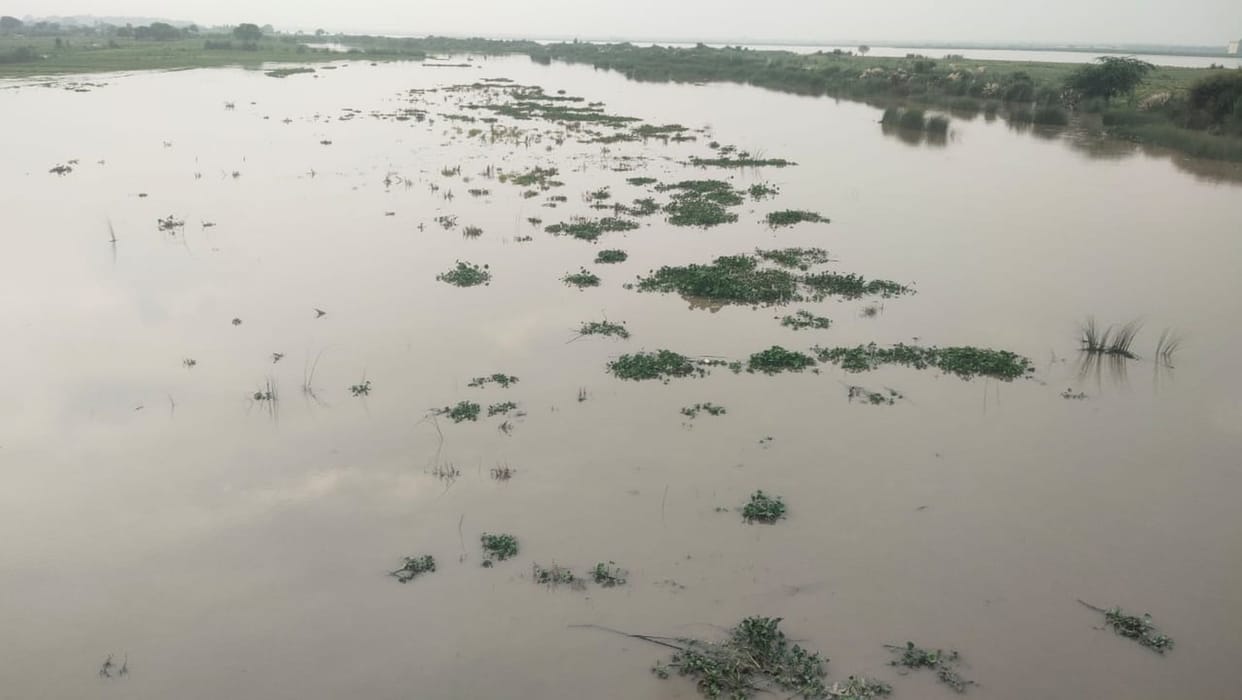 Waves began swallowing the fields; crops were submerged