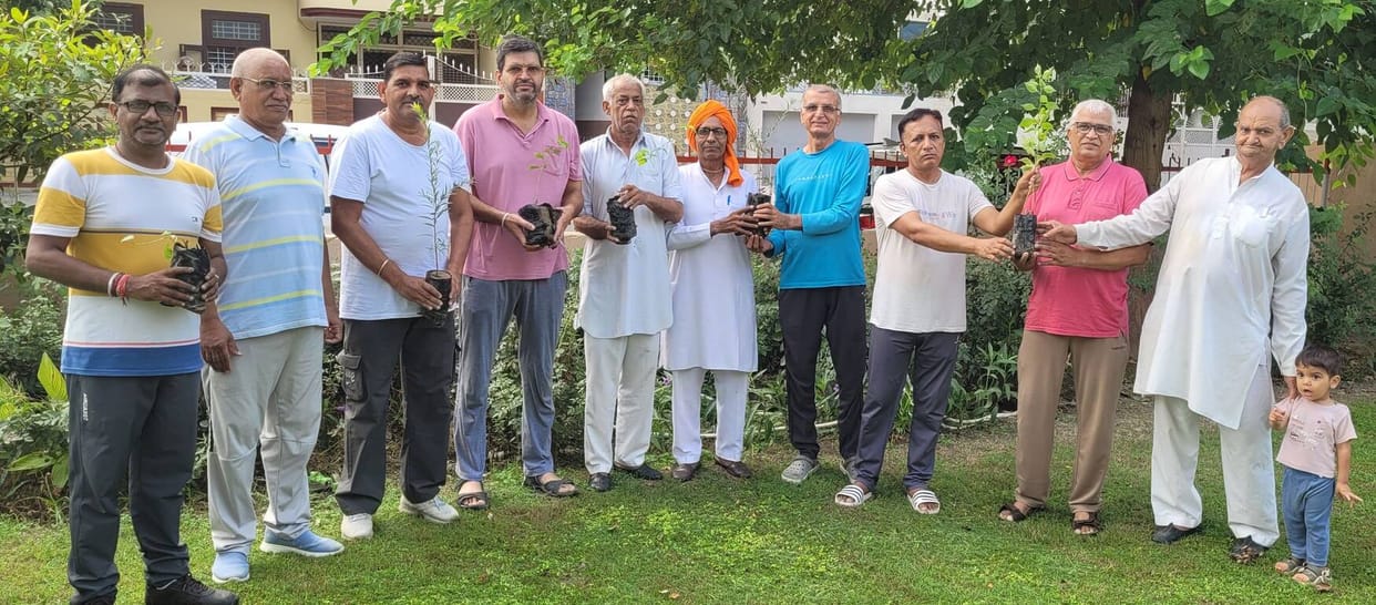 Planting trees gave the message of cleanliness