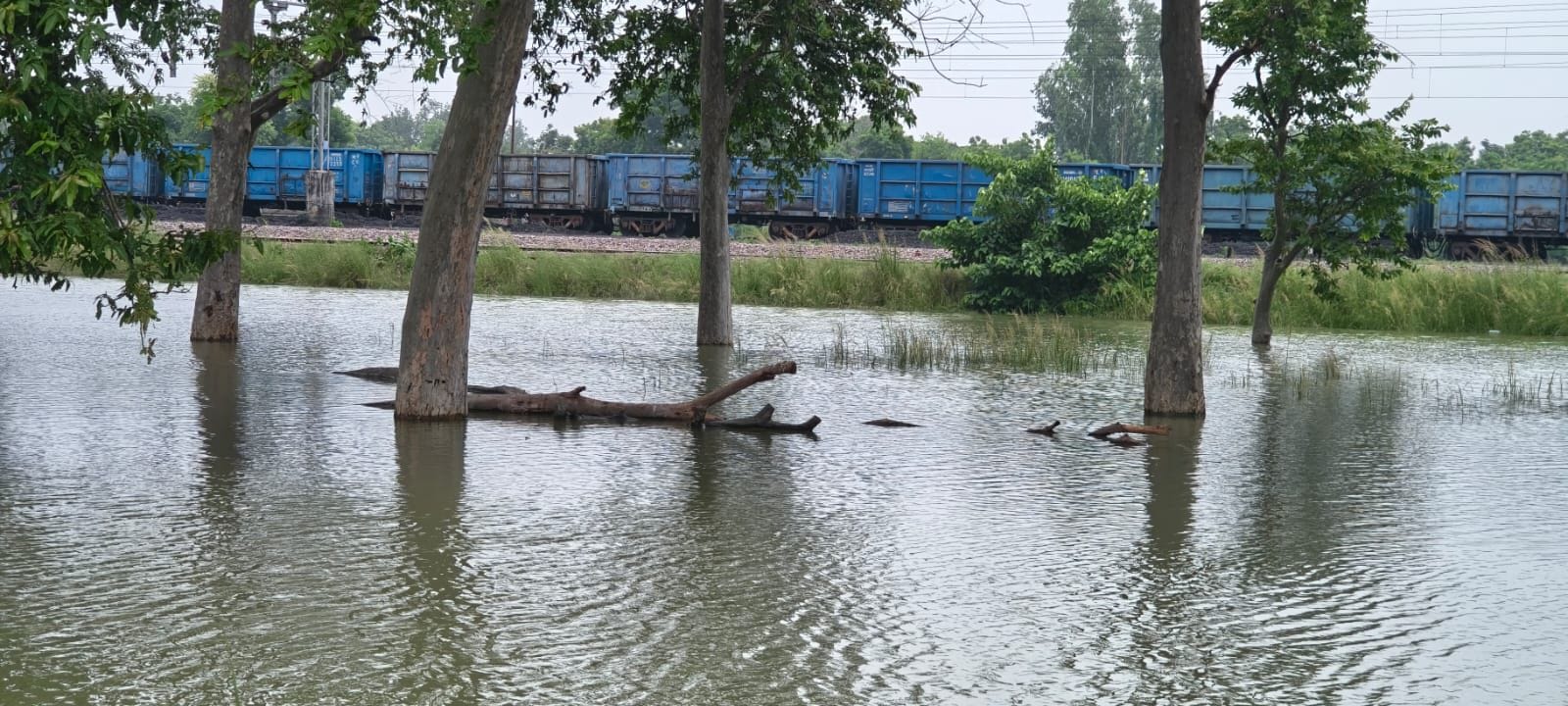 गोंडा में बाढ़ के हालात बयां करतीं तस्वीरें। संवाद