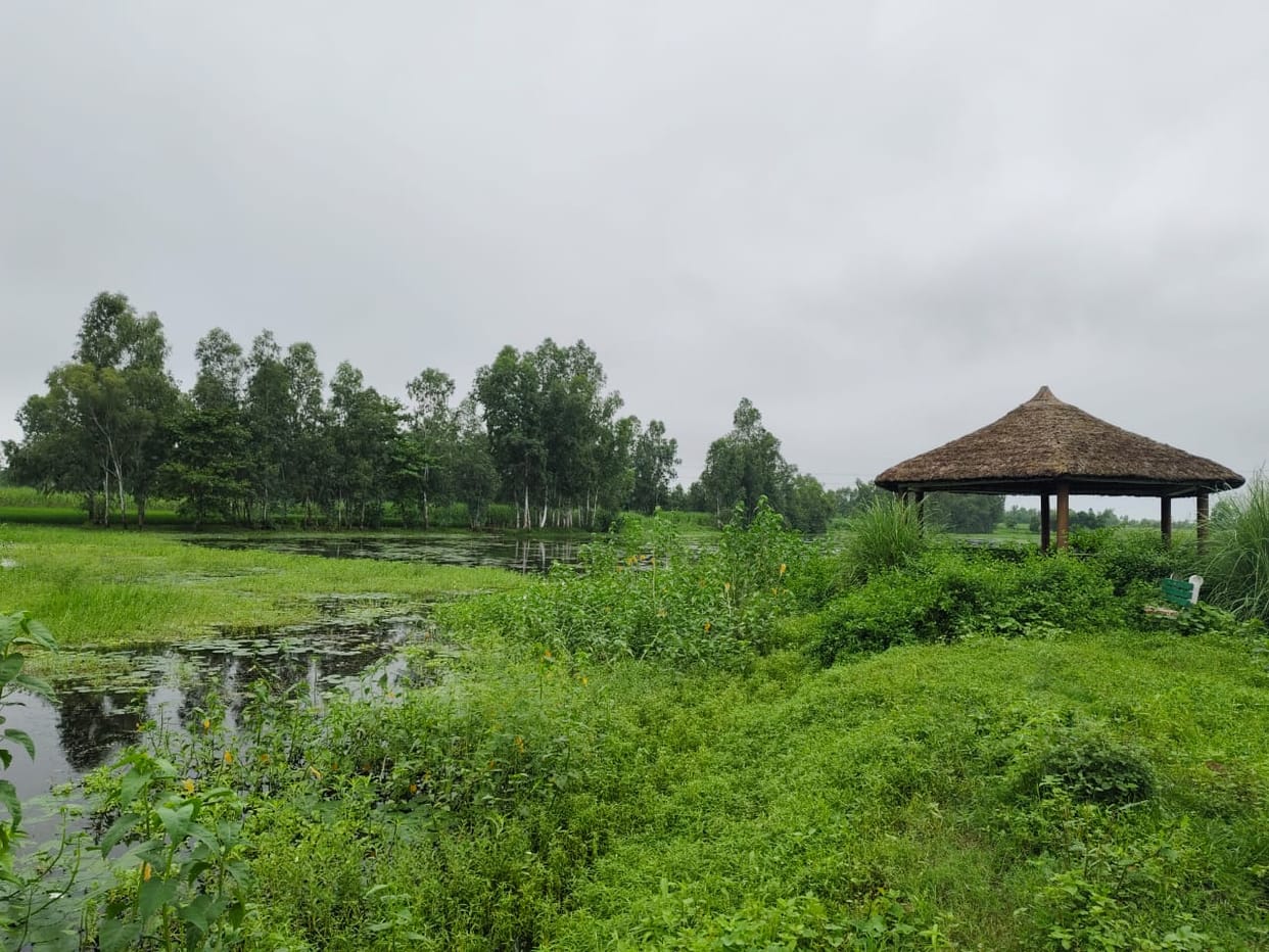 The chirping of birds will echo in Ghera Richhola; it will become a new bird-watching destination for tourists to enjoy.