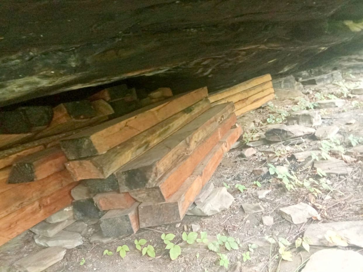 sleepers recovered from the forest at Thaili Chakti in Nankhari