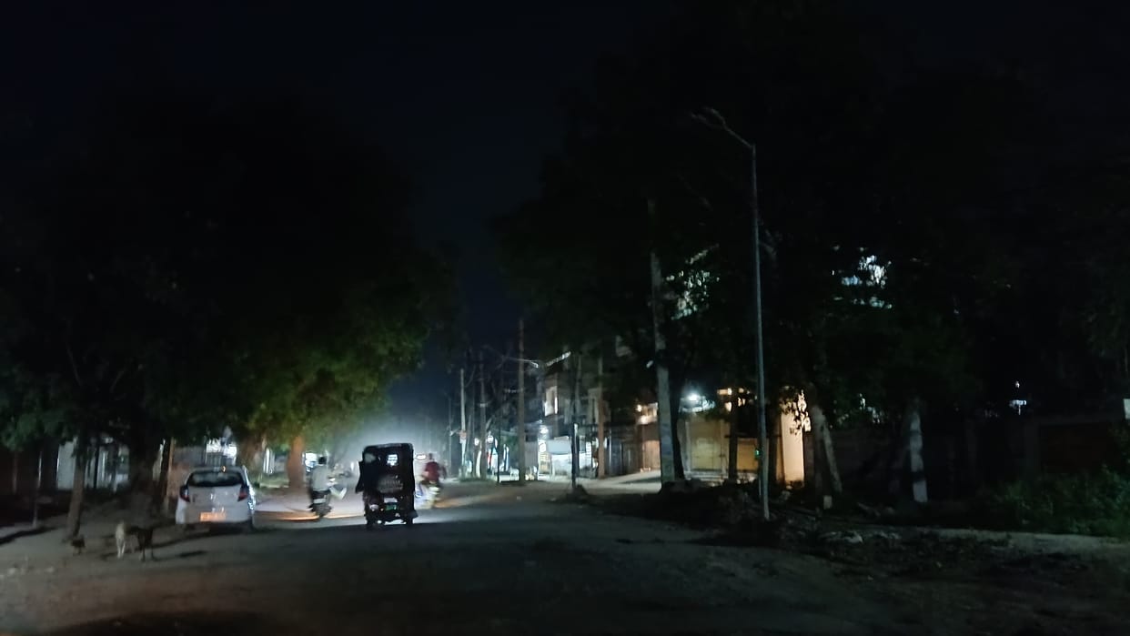 52 non-functional streetlights, a dilapidated road, and stray animals continued to cause accidents.