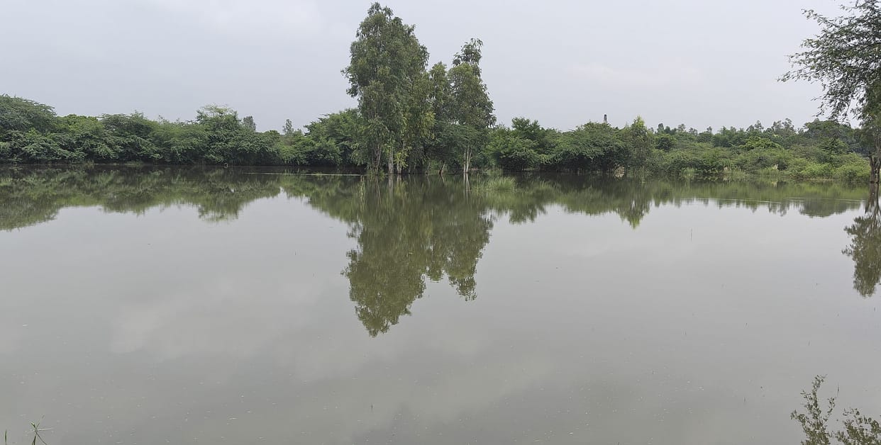 Connectivity to several villages cut off; 800 bighas of paddy crop submerged.