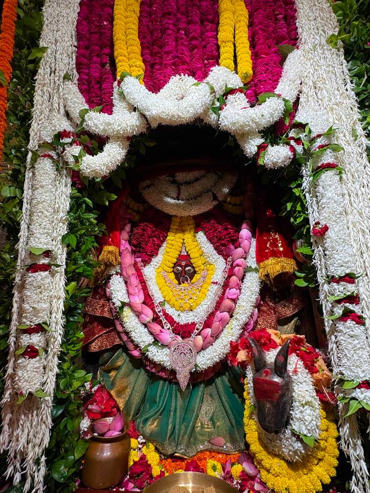 Mother Sheetala was adorned with a green saree, rose, daua, and kamini leaves.