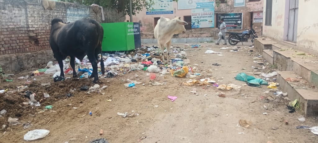 फोटो संख्या:-67 रामलीला परिषद के पर लगा कूडे का ढेर। संवाद