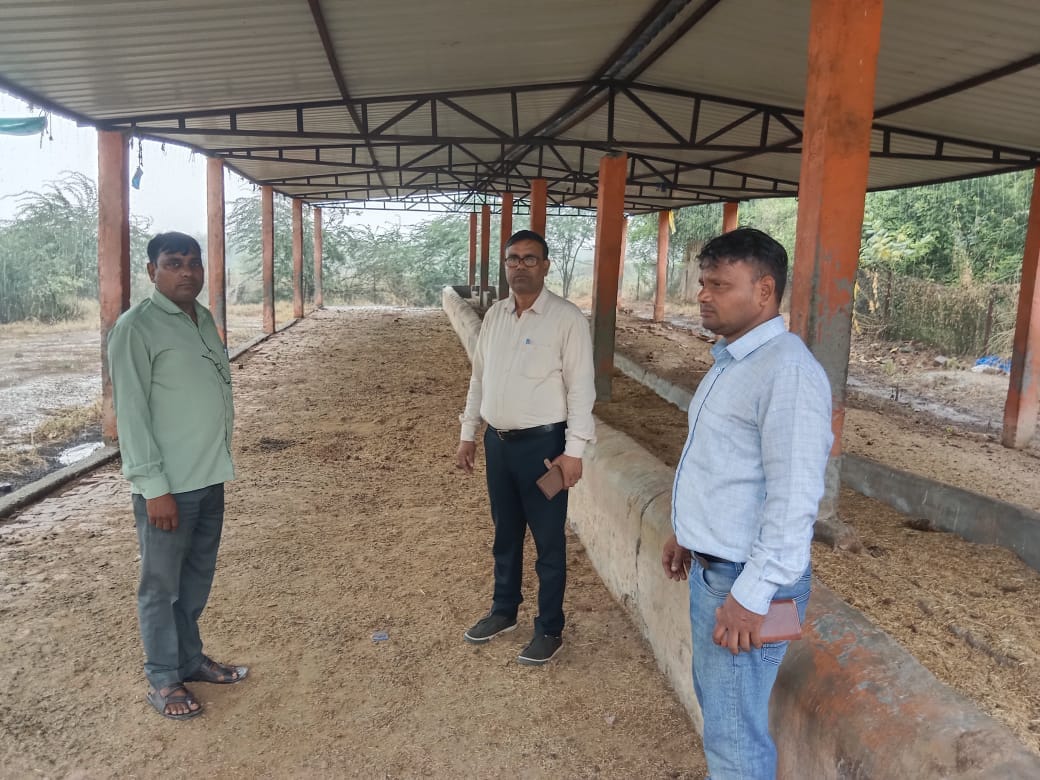 BDO conducts surprise inspection of the cowshed.