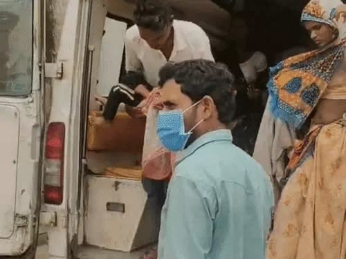 Stray dog attacks three children; mauls cheek of 18-month-old toddler.