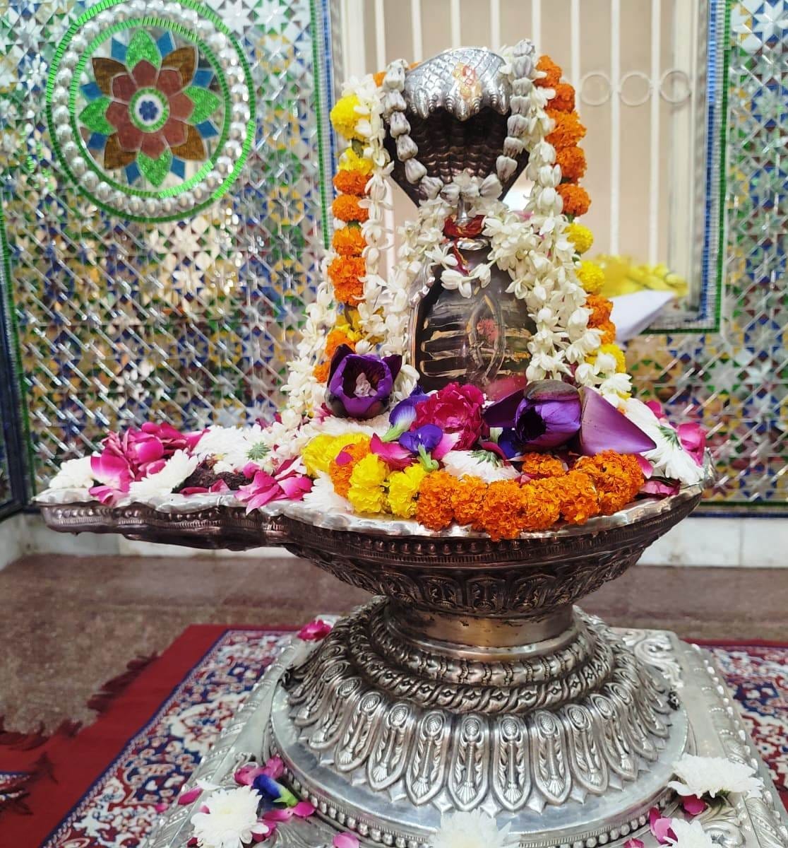 Performed Rudrabhishek at the Rameshwar Mahadev Temple.