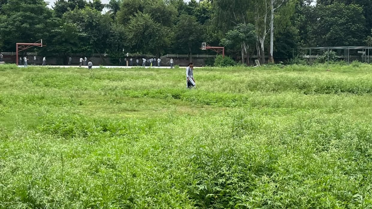 School with 1,200 students left in the care of a single cleaner; tall grass grows in the playground.