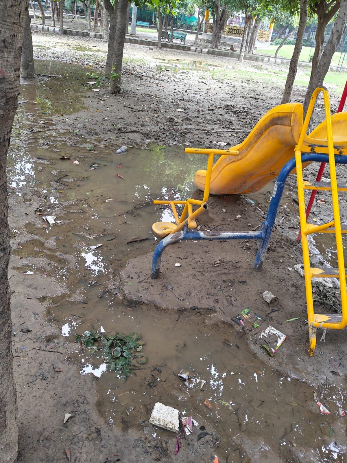 Hear My Voice: Waterlogging in the Park