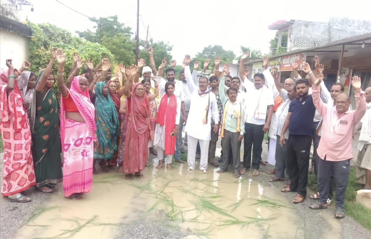 Protest staged by planting paddy in potholes to demand road construction.