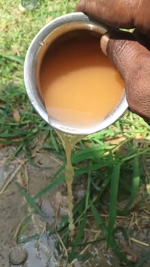 There are no benches or drinking water facilities in the school; children are forced to drink contaminated water.