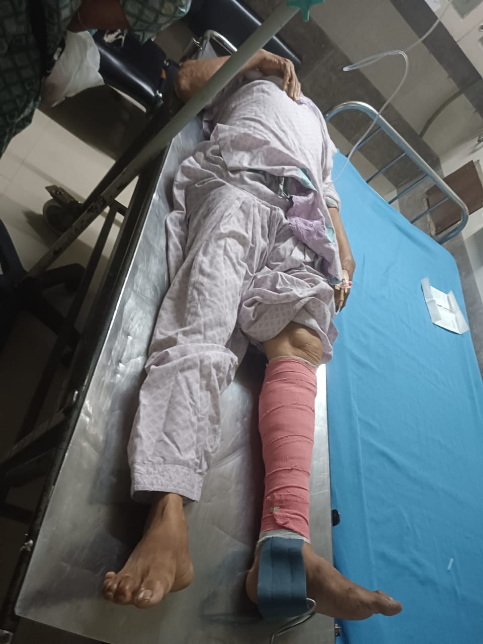 Elderly woman attacked by a cow outside her home; kneecap dislocated.