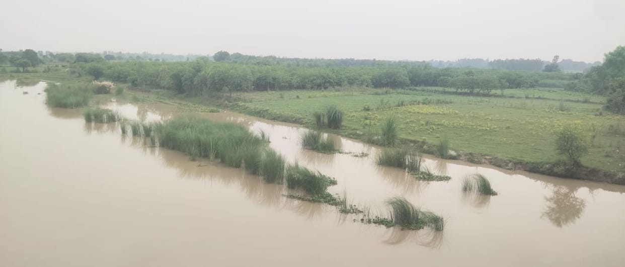 Ganga's water level reaches the warning mark